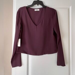 Aritzia Babaton Murphy Blouse